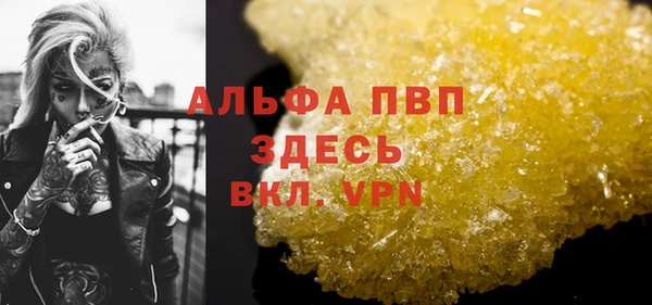 ГАЛЛЮЦИНОГЕННЫЕ ГРИБЫ Надым