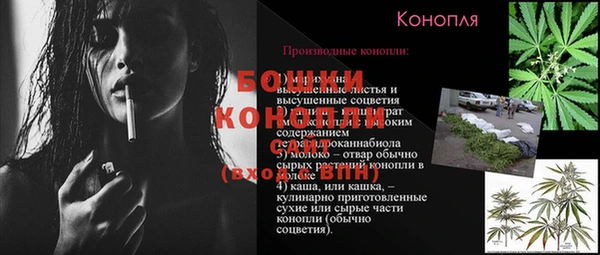 ГАЛЛЮЦИНОГЕННЫЕ ГРИБЫ Надым
