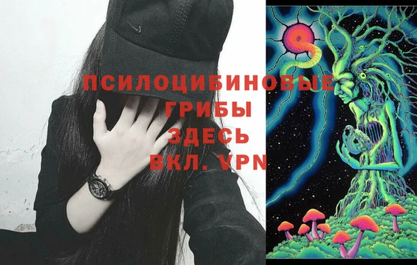 ПСИЛОЦИБИНОВЫЕ ГРИБЫ Навашино
